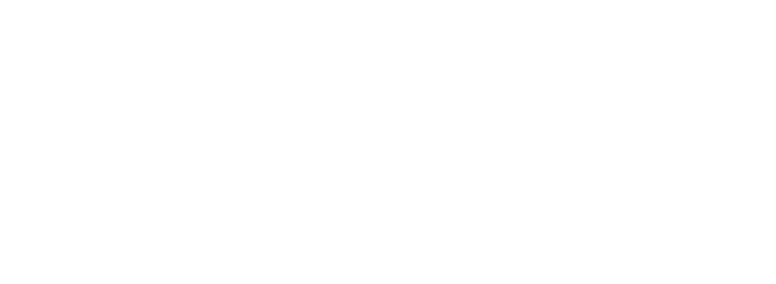 Logo Dfborges - longo
